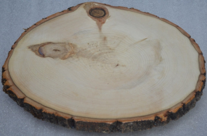 Rustic Lazy Susan, Log Slice with bark (size: 12 1/2" to14")